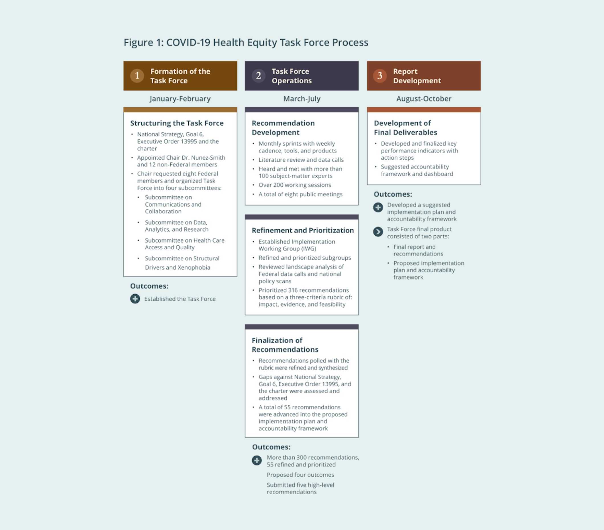 A vertical diagram of the COVID-19 Health Equity Task Force process
